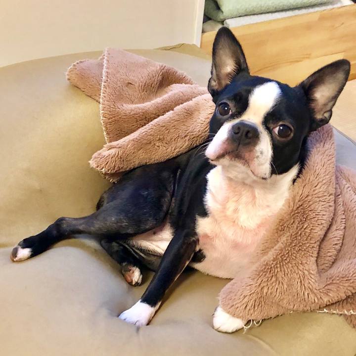 71c1c839 5ae3 4f02 bab7 2687dbddaaca 1512861710165