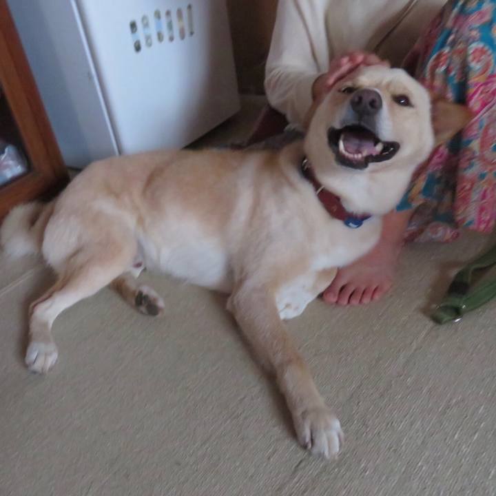 71c1c97d 81d9 447a 8276 b93e4c10681d 1583735129853