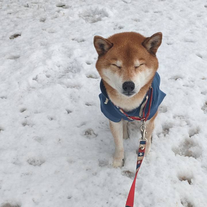 71c1f593 7648 49d2 b339 508854afd1eb 1707179741691