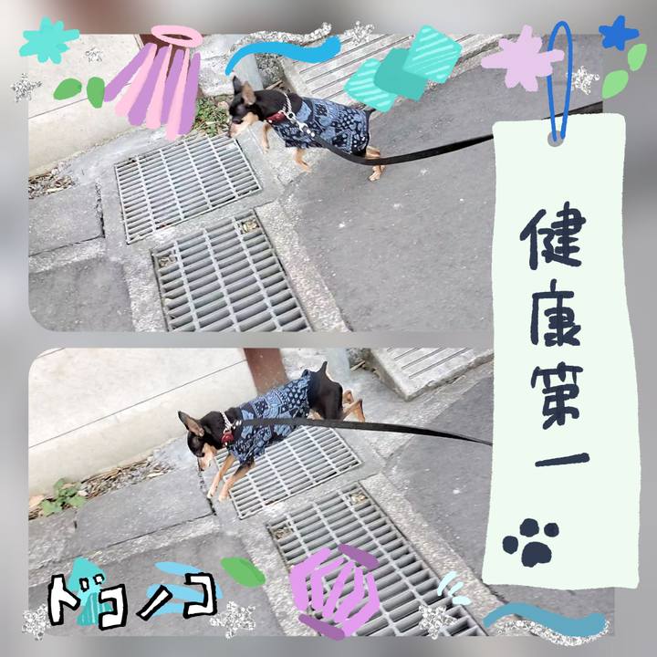 71c20369 5563 4fb6 8fd2 d7d6a3d3bccb 1721216760444