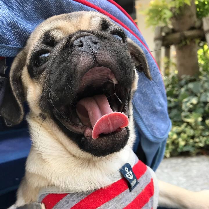 71c25510 958a 4cf2 a7f4 9a0646f0b02f 1536292459257