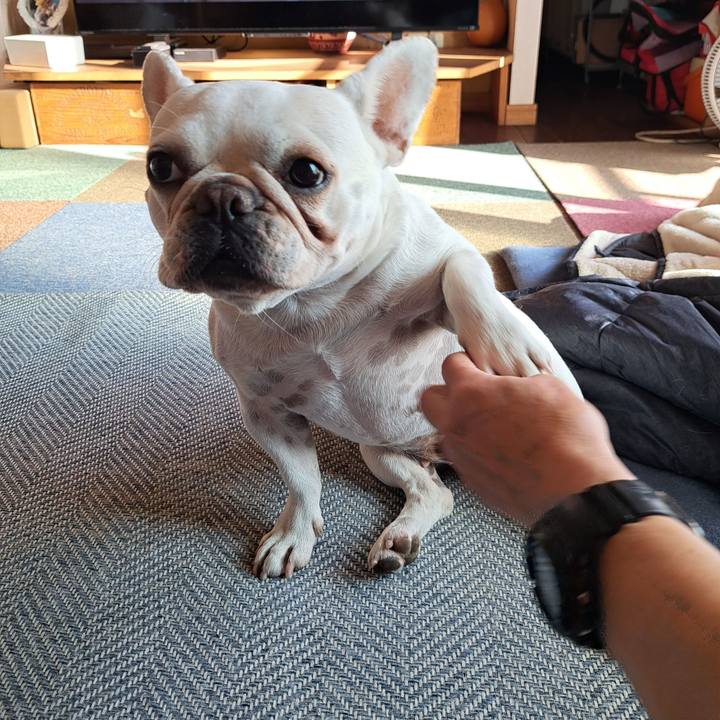 71c25871 0fa8 43a8 a3aa 783874c7237e 1699050519033