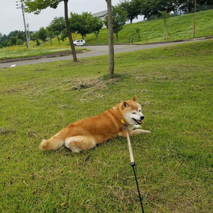 71c25c19 ec68 4137 99bf 3e4b2f33da2a 1686712128736