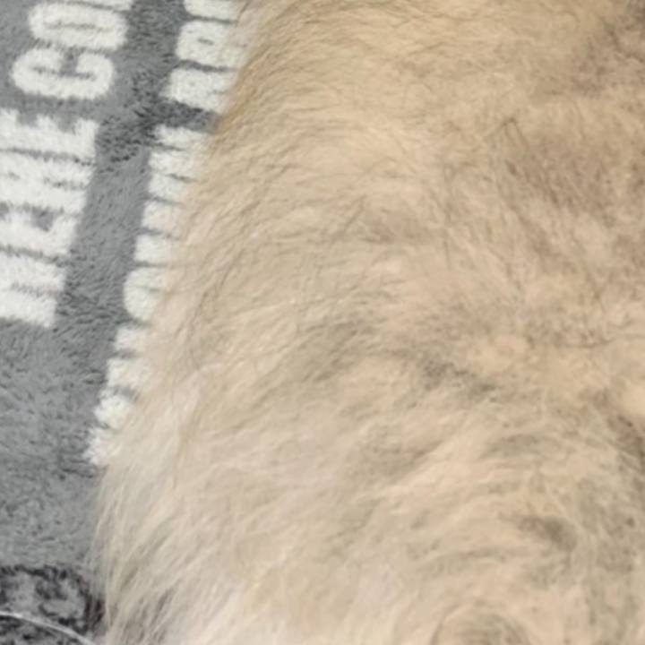 71c25c36 6df0 4d96 aef4 6fb25b3b28a8 1599152765995