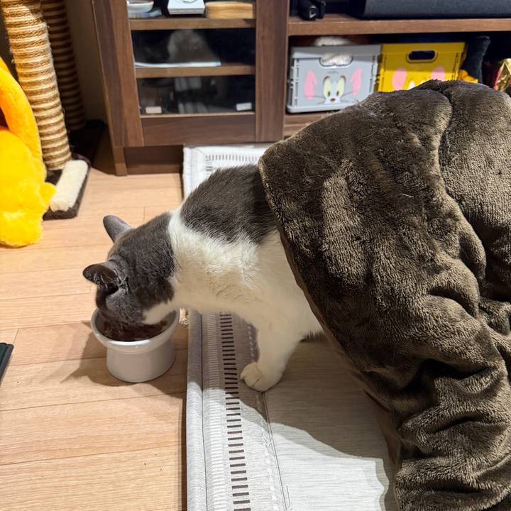 71c28780 9595 434a b956 2df226edfabe 1767702871839