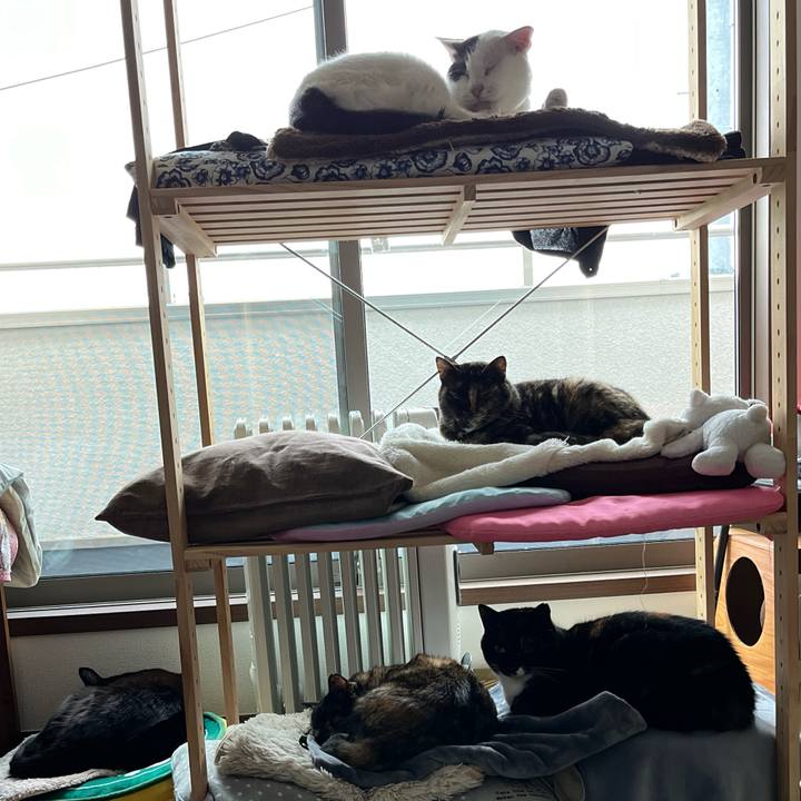 71c2aa60 9da0 4a8a 9518 fee218598608 1701399794224