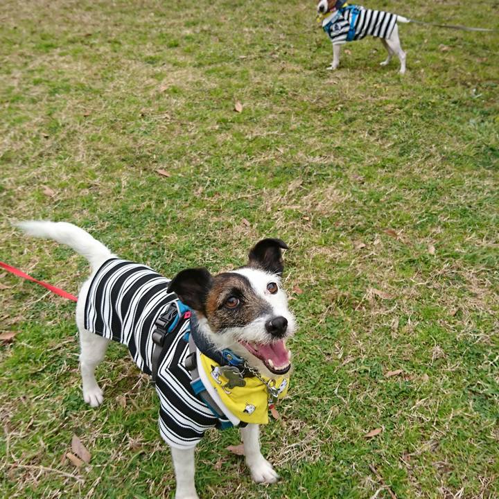 71c2b462 1e8f 4441 b9ac 88affd15a869 1552198226069