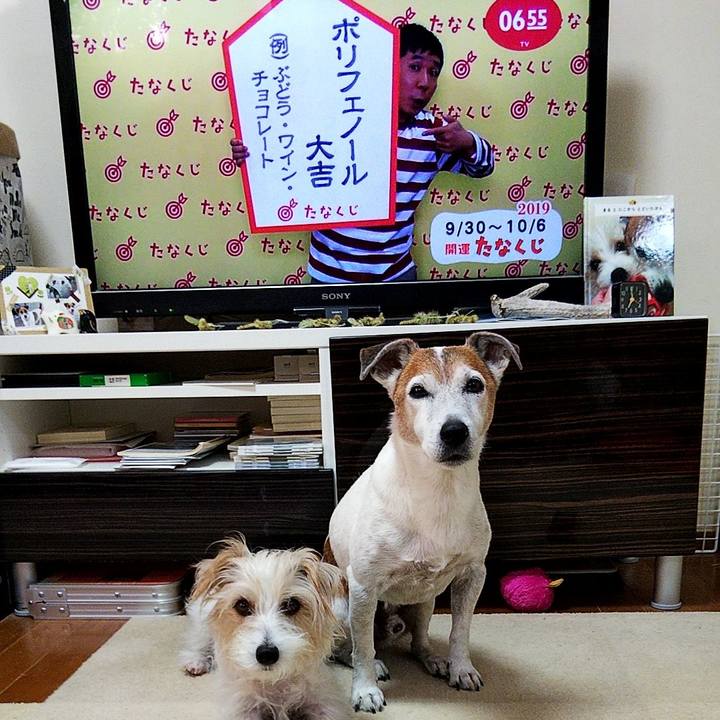 71c2c969 cc35 4a3e 91e3 2cdfffa0b989 1569796366442