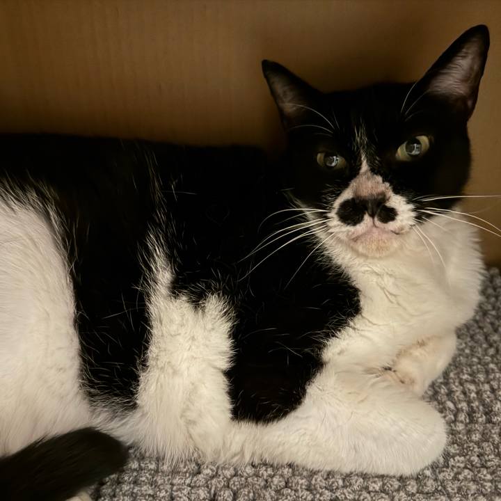 71c2deb3 0fb0 4f38 b543 5d87f397279b 1723605827931