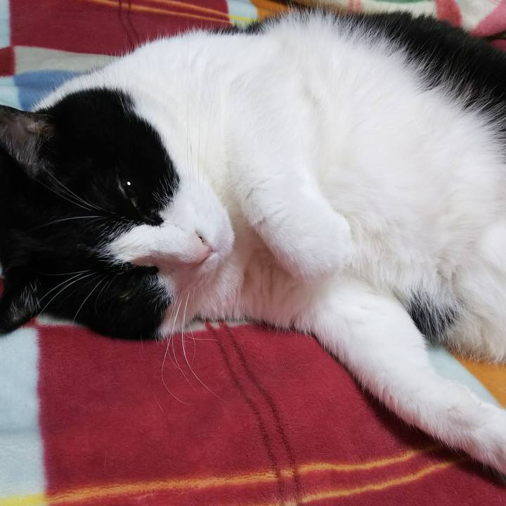 71c2eab7 390d 49d7 9c3c 7e582d8538b1 1537976038463