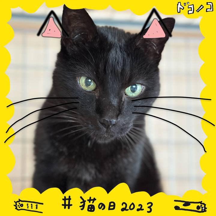 71c30762 826f 4743 93f3 ca67b56194d6 1677032744371