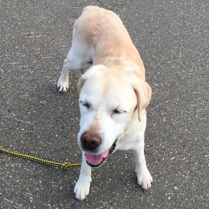 71c31f98 e66b 41d4 b978 bfb83262b40d 1533958023778