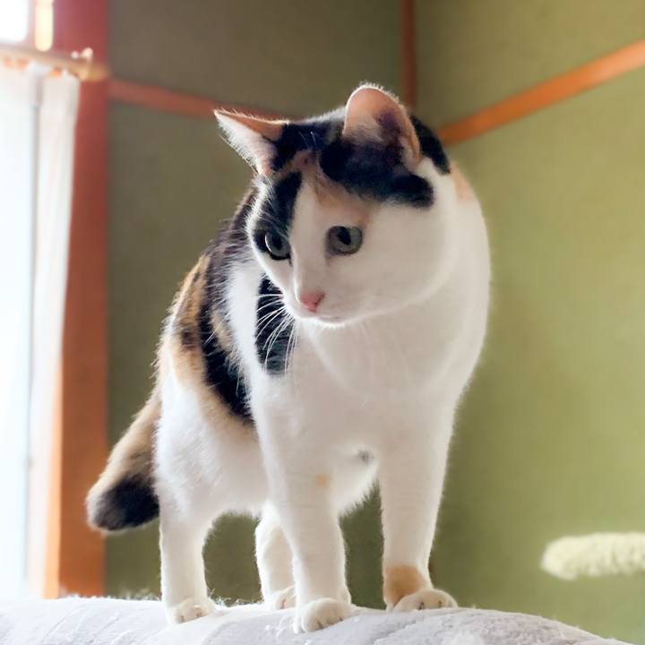 71c3801e a187 48e0 b8b2 113d70ec5dc2 1583461261999