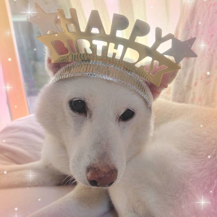 71c38e43 9d03 40fc 8516 3d782d3498d2 1751877976255