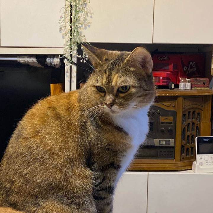 71c3ce42 be42 48f4 a3d1 5616684bac0b 1633553804330