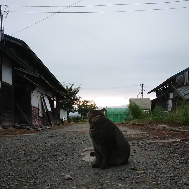 71c44083 9116 4d5b b327 c246fa1a2eae 1662497901530