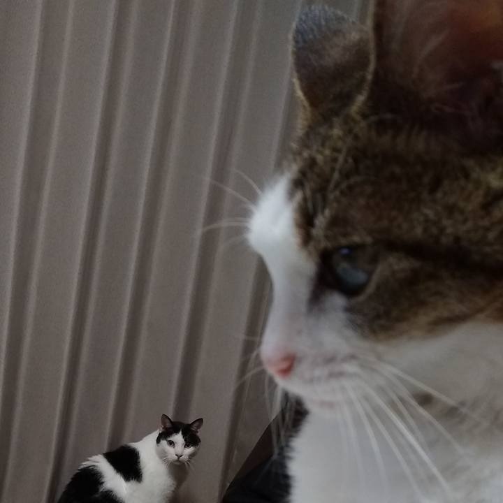 71c46c2d 78bf 4119 85c9 ccb6ec696809 1565178619716