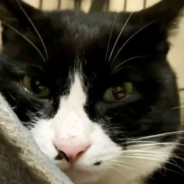 71c475a2 9d20 4929 9309 c74f8cf2037e 1737978429105