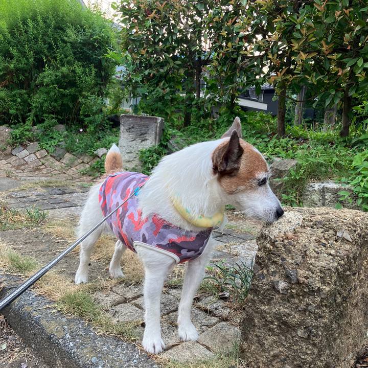 71c47c2b 5113 4972 875d c4d558f9b79a 1689721432509