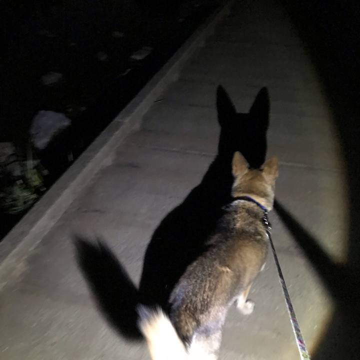 71c4fe9b d01a 476c a41a 894a0ee60c22 1555762764507