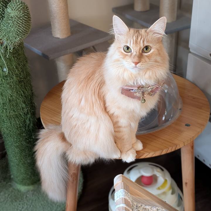 71c5875b 1497 46c6 bf1a 815fa9d5c869 1731362989947