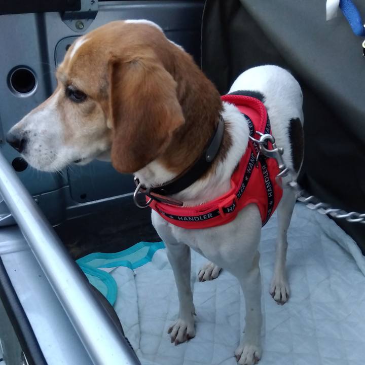 71c5c50a dfa8 469b 8430 bcc7e03d6f7e 1699358867574