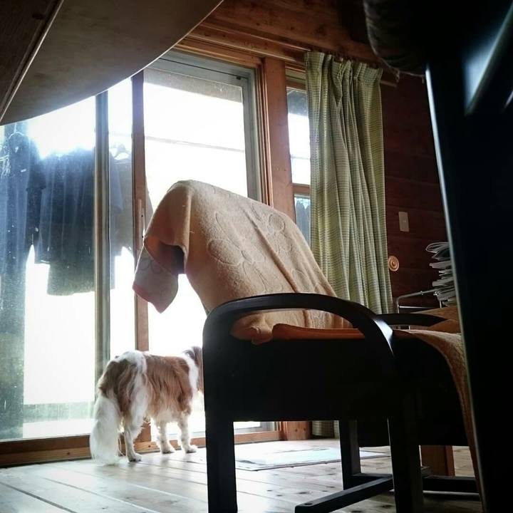 71c5cd32 7fe1 427f 9e72 7a1efd33828e 1534370972333