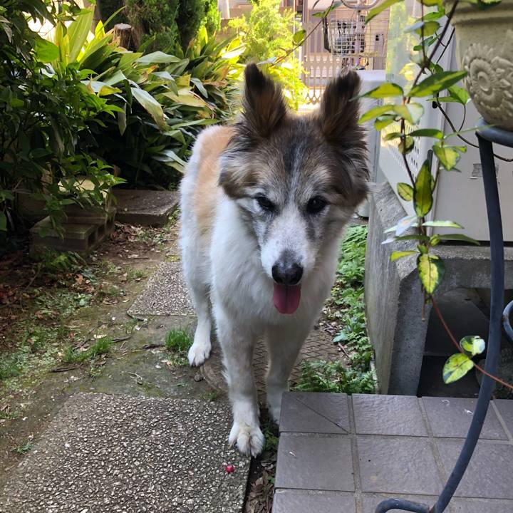 71c5d645 f83c 49aa 8de2 514e6a150b25 1530502066745