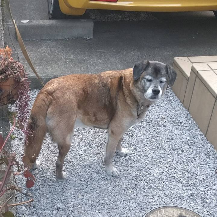 71c5d945 f456 43a9 8fa0 cb8eaf3f7c5b 1517988695362