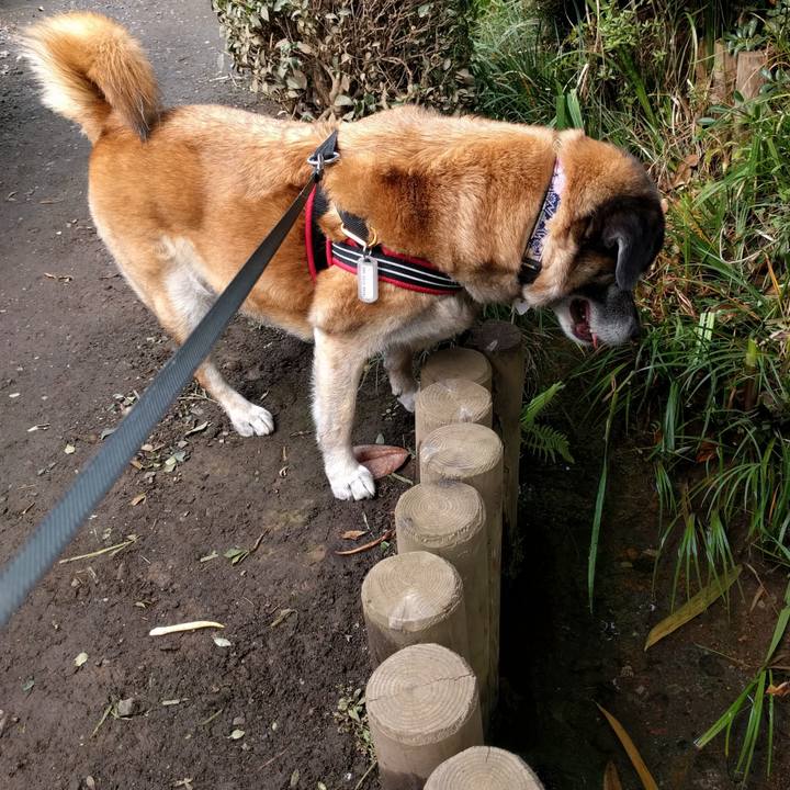 71c5f514 b3d2 4827 a9e4 cdacd9c3929c 1731206151521