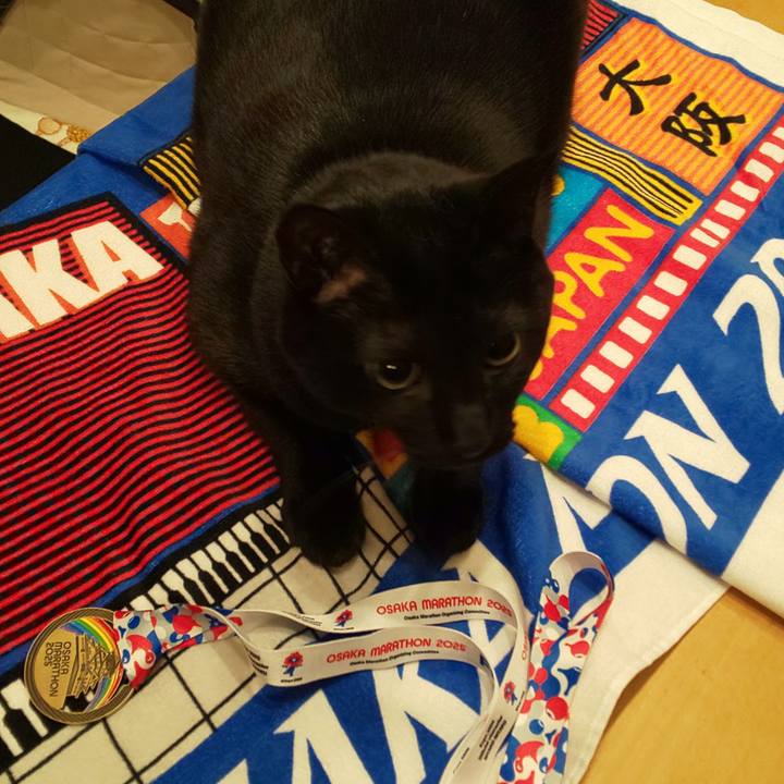 71c5faaa e1d9 49f8 8609 7c56d0e83e8e 1740394540334