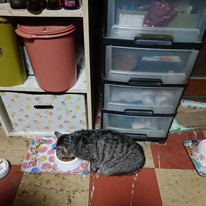 71c633df f474 4a7a b875 16d0e1288b3f 1576180563165