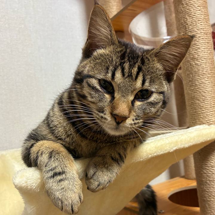 71c64d82 a725 4ab0 9f2f f038bf50c5da 1748867336455