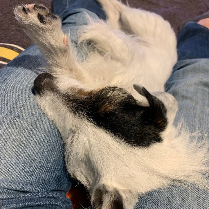 71c657a0 c73e 442e 93be 5f763c2fe931 1678542082171