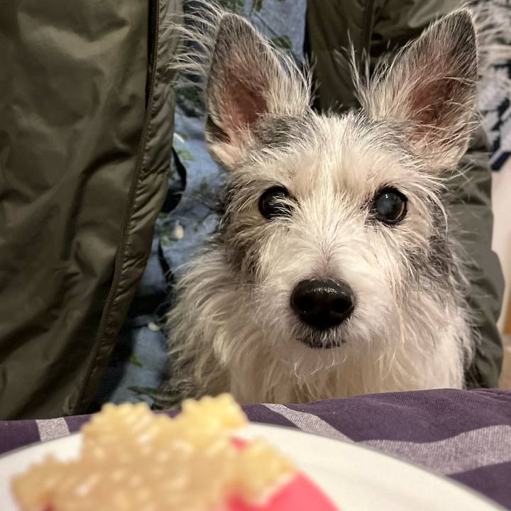 71c68553 df22 4eeb 817a e543eb650d2f 1671966064006