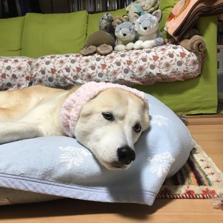 71c6adb3 4379 47e7 adae 10511d5f48bb 1744259680845