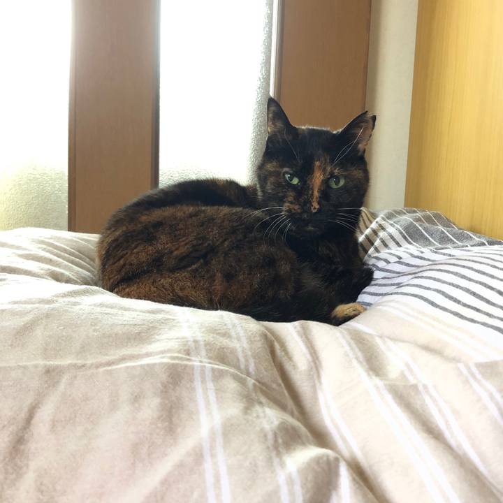 71c6c99d 7988 419f a391 54aa8fa711a2 1624581033449