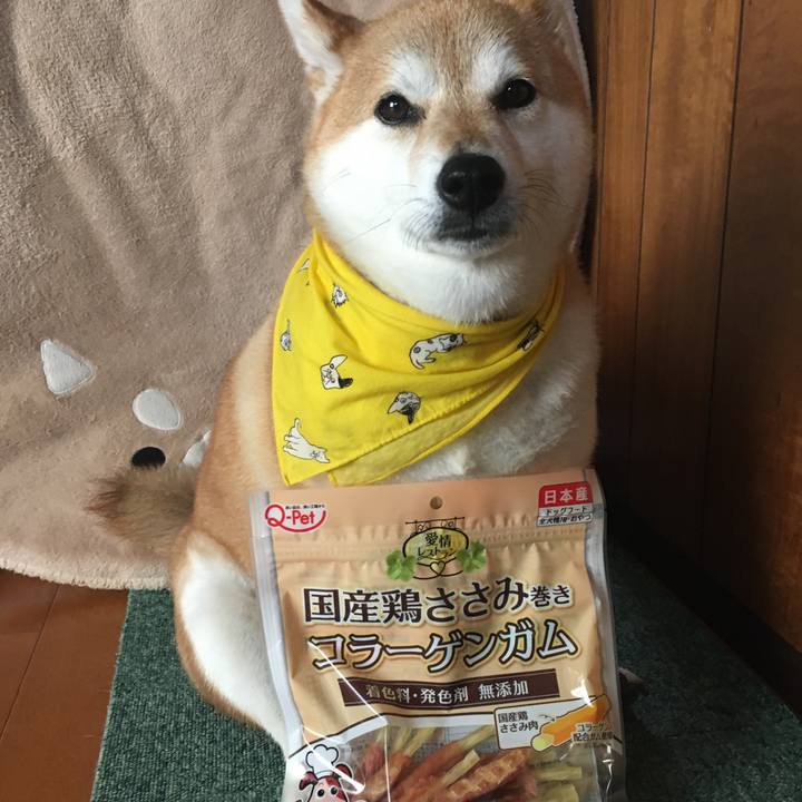 71c6d4d8 3296 41d4 b545 fcc2d833aed5 1623561361078