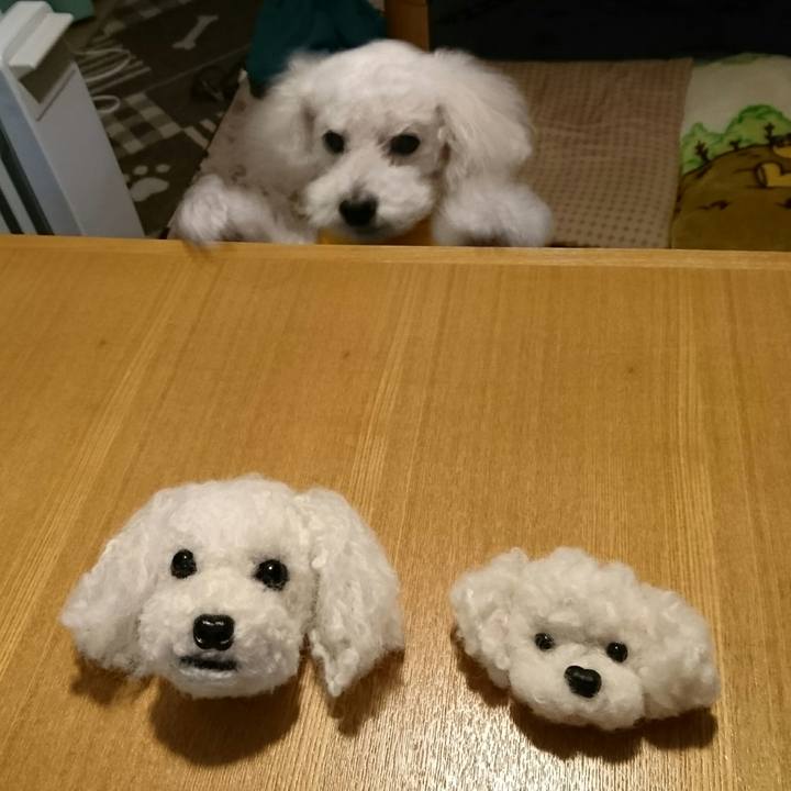 71c6de99 d0bd 4bba ac4e fa9d571ac9a6 1511339498635