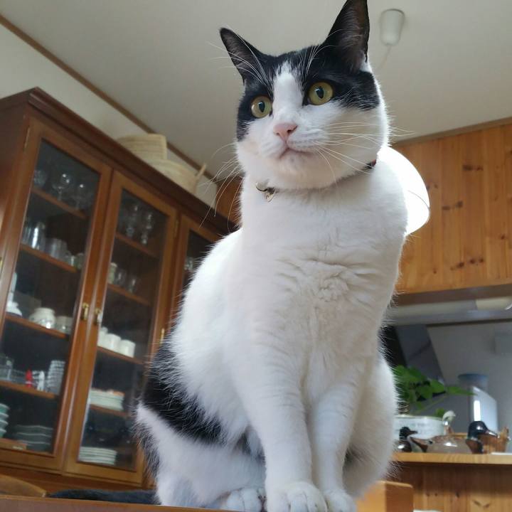 71c6dea2 6b5b 4a7f 8a59 b1d57174934a 1540768145676