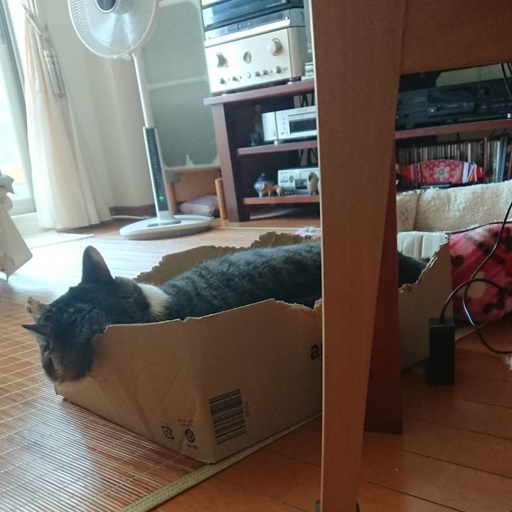 71c6dfb4 0fd8 4487 a7f5 e81f70ec3e8c 1568078298031