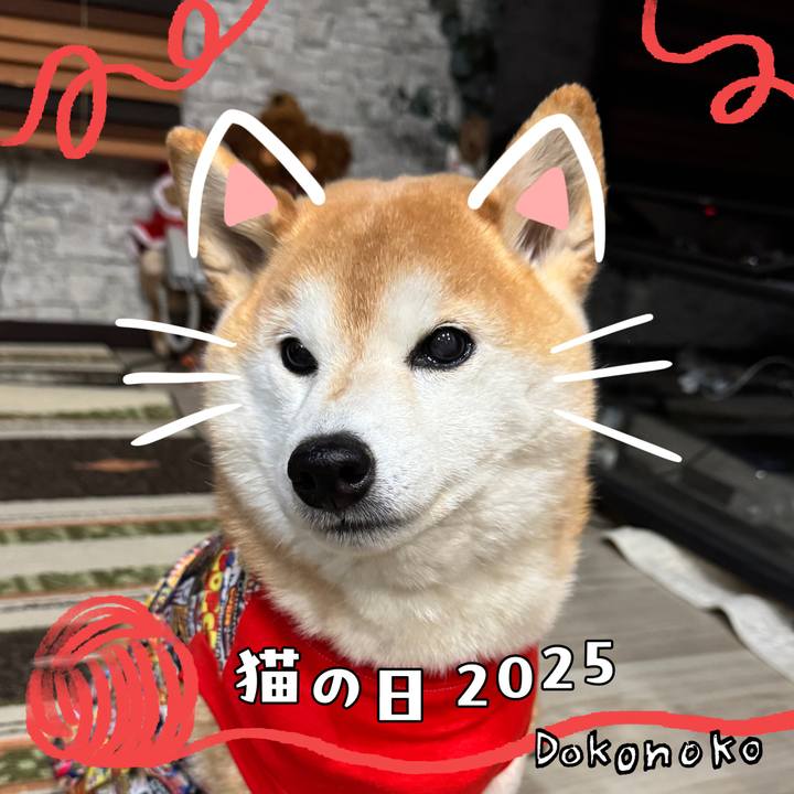 71c70a1b ea1a 4c27 aafd 8ba80b219815 1740222615773