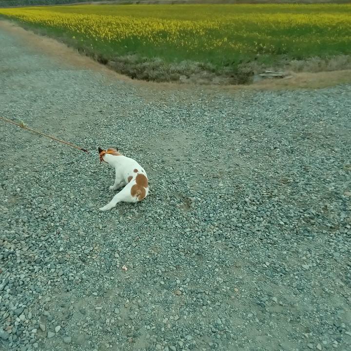 71c7298d f75a 490a 8d56 c1b6507980d3 1556374982620