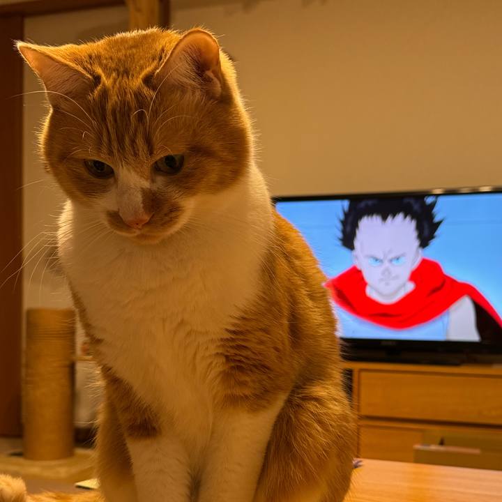 71c75427 7fba 4cdb a5f0 c7697a649c19 1767606010637