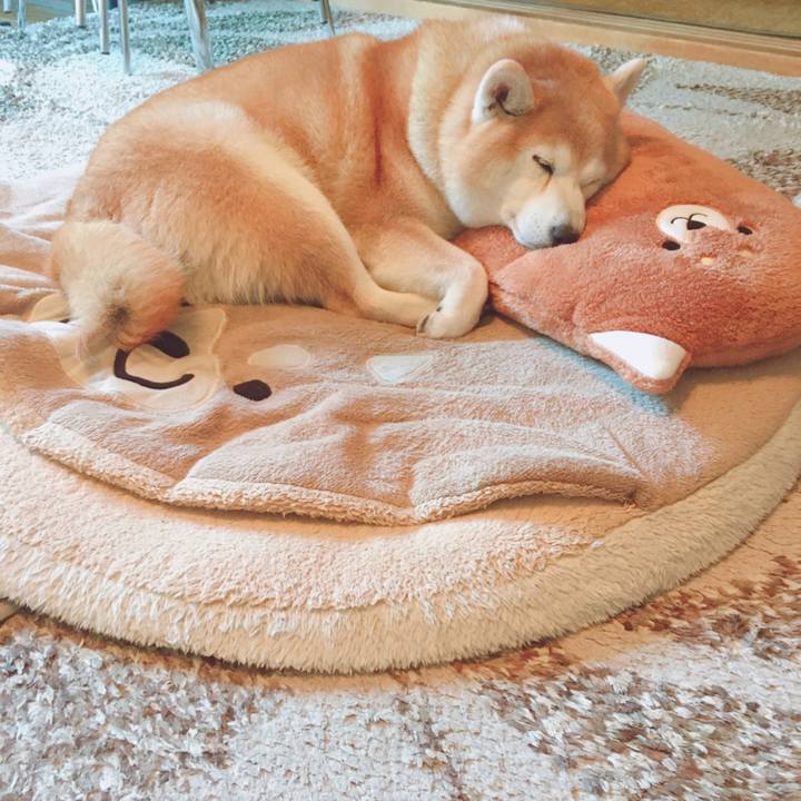 71c776e9 d981 4252 9f89 481fbdf85533 1577592556078