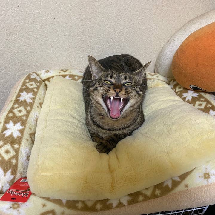 71c7d618 32ae 4fe8 aba0 4ac99fcd1303 1582327787705