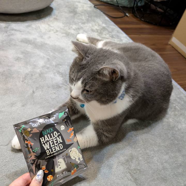 71c7e4c1 35af 4d81 b578 5221d77f3cd6 1727088699706