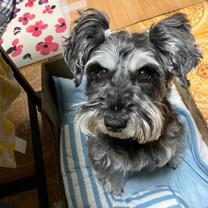 71c8109f 10c2 49c8 bb10 cd65de4bdb38 1717250528182