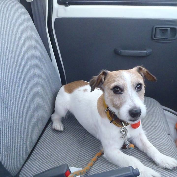 71c82634 cd87 4aac 83bc 0886f0a04d5a 1525180666148