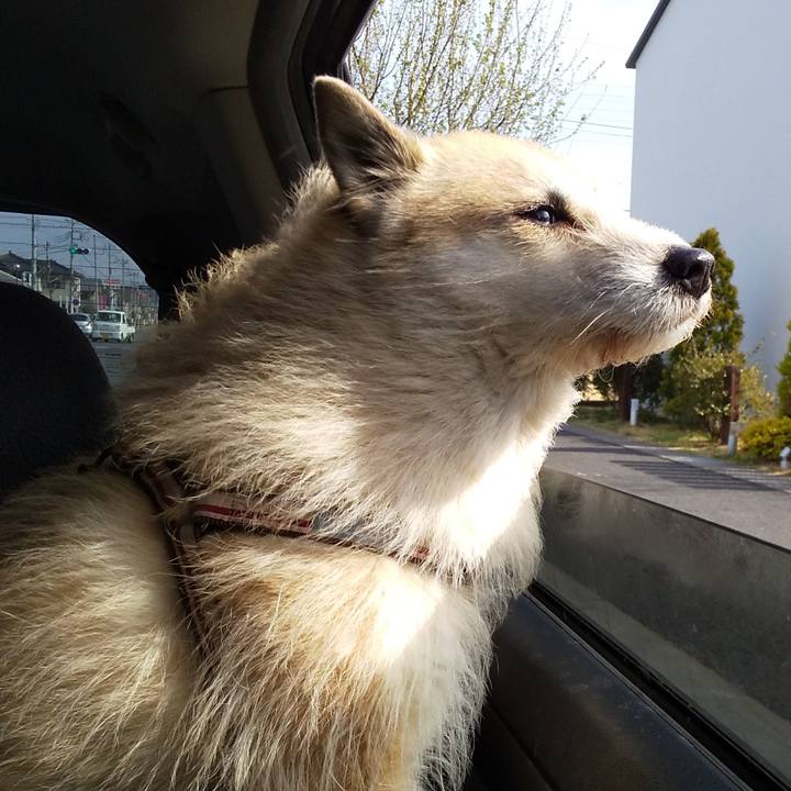 71c8327c 33b3 4ff0 a045 f23813f24cf2 1555715650025